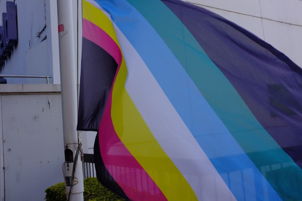 Disability pride flag unfurls 